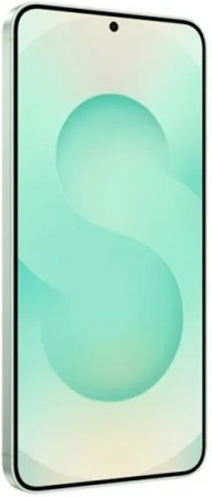 Samsung Galaxy S25 12+ 512Gb Mint (Snapdragon,2 nano-SIM)